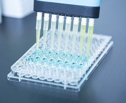 REAGEN LLC ligne de production du fabricant